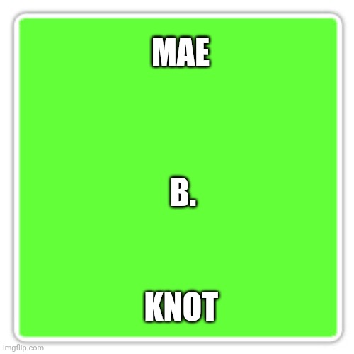 Every guy knows this girl | MAE; B. KNOT | image tagged in memes | made w/ Imgflip meme maker