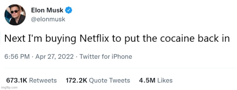 A new venture | image tagged in memes,elon musk,twitter,netflix | made w/ Imgflip meme maker