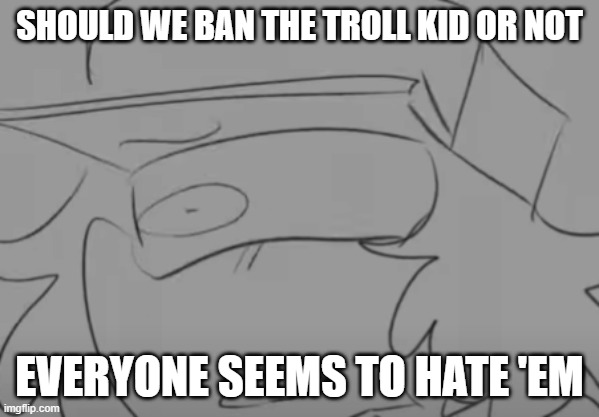 hmm ._. | SHOULD WE BAN THE TROLL KID OR NOT; EVERYONE SEEMS TO HATE 'EM | image tagged in garcello has seen some sh t | made w/ Imgflip meme maker