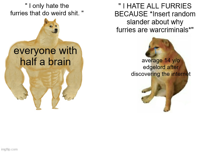 I'm probably going to get batted to death for stating my opinions | " I only hate the furries that do weird shit. "; " I HATE ALL FURRIES BECAUSE *Insert random slander about why furries are warcriminals*"; everyone with half a brain; average 14 y/o edgelord after discovering the internet | made w/ Imgflip meme maker