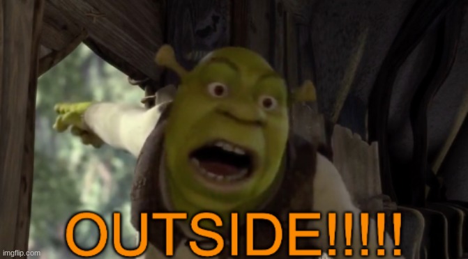 OUTSIDE!!!!! Shrek | image tagged in outside shrek | made w/ Imgflip meme maker