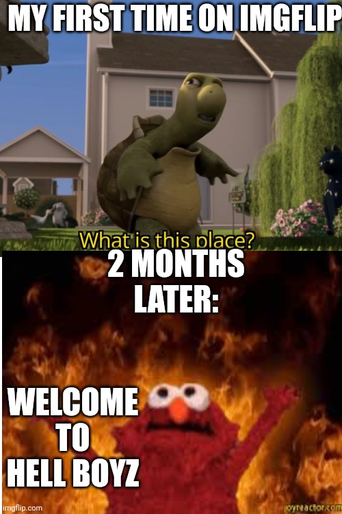 MY FIRST TIME ON IMGFLIP:; 2 MONTHS LATER:; WELCOME TO HELL BOYZ | image tagged in what is this place | made w/ Imgflip meme maker