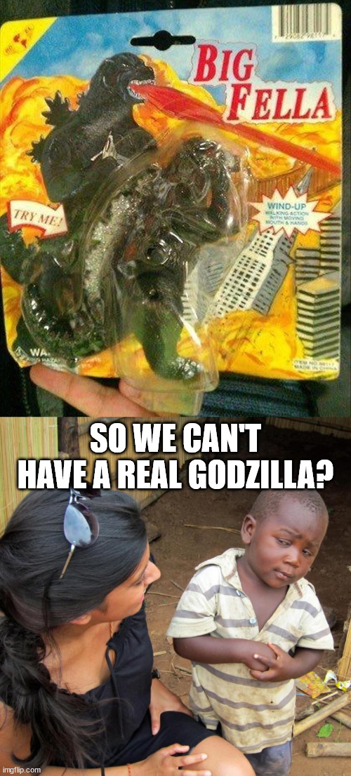 When you can't say Godzilla. | SO WE CAN'T HAVE A REAL GODZILLA? | image tagged in 3rd world sceptical child,godzilla | made w/ Imgflip meme maker