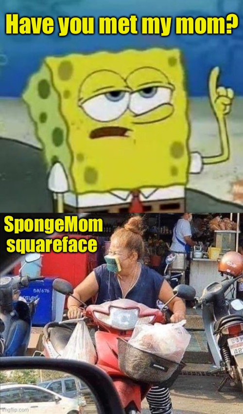 Whatever works. | Have you met my mom? SpongeMom squareface | image tagged in memes,i'll have you know spongebob,face mask,funny | made w/ Imgflip meme maker