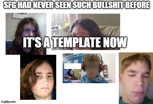 I suggest you use it | IT'S A TEMPLATE NOW | image tagged in sfg had never seen such bullshit before | made w/ Imgflip meme maker