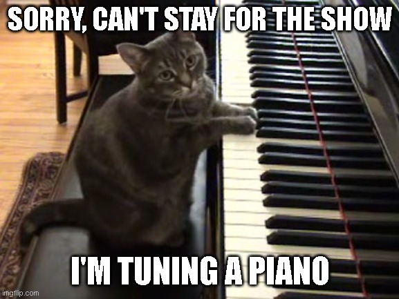 I think it's clear enough what happened and why | SORRY, CAN'T STAY FOR THE SHOW; I'M TUNING A PIANO | image tagged in cat piano | made w/ Imgflip meme maker