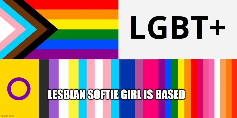 LGBT Hybrid Flag | LESBIAN SOFTIE GIRL IS BASED | image tagged in lgbt hybrid flag | made w/ Imgflip meme maker
