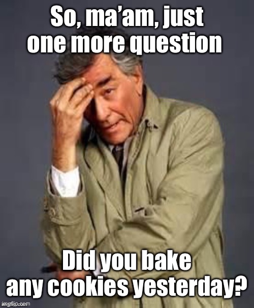Columbo | So, ma’am, just one more question Did you bake any cookies yesterday? | image tagged in columbo | made w/ Imgflip meme maker