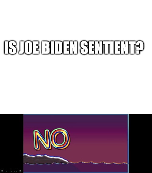 IS JOE BIDEN SENTIENT? | image tagged in blank white template,bill wurtz no | made w/ Imgflip meme maker