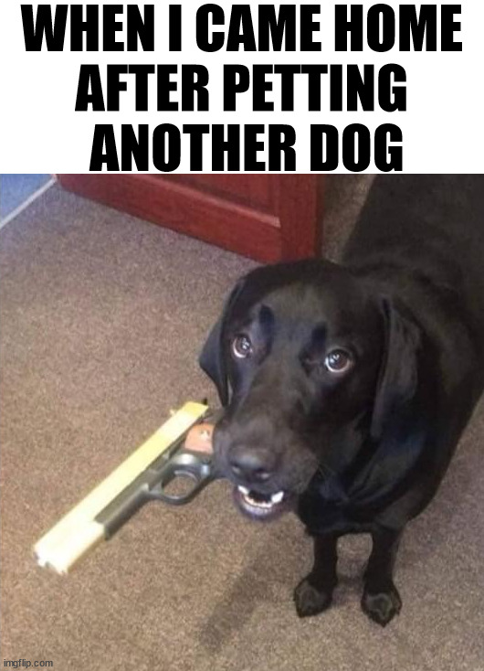 WHEN I CAME HOME 
AFTER PETTING 
ANOTHER DOG | image tagged in dark humor | made w/ Imgflip meme maker