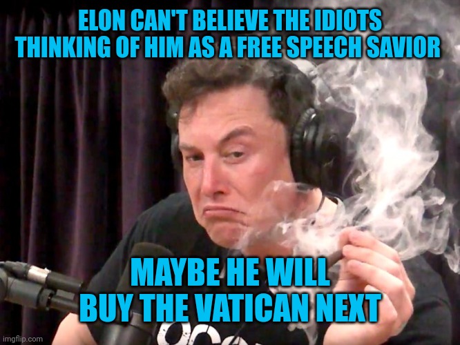 Elon Musk Weed | ELON CAN'T BELIEVE THE IDIOTS THINKING OF HIM AS A FREE SPEECH SAVIOR; MAYBE HE WILL BUY THE VATICAN NEXT | image tagged in elon musk weed | made w/ Imgflip meme maker