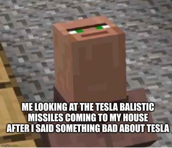 Minecraft Villager Looking Up | ME LOOKING AT THE TESLA BALISTIC MISSILES COMING TO MY HOUSE AFTER I SAID SOMETHING BAD ABOUT TESLA | image tagged in minecraft villager looking up,tesla,elon musk | made w/ Imgflip meme maker