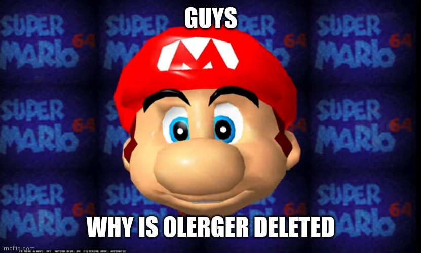 Add a mustache to mario (sm64) | GUYS; WHY IS OLERGER DELETED | image tagged in add a mustache to mario sm64 | made w/ Imgflip meme maker