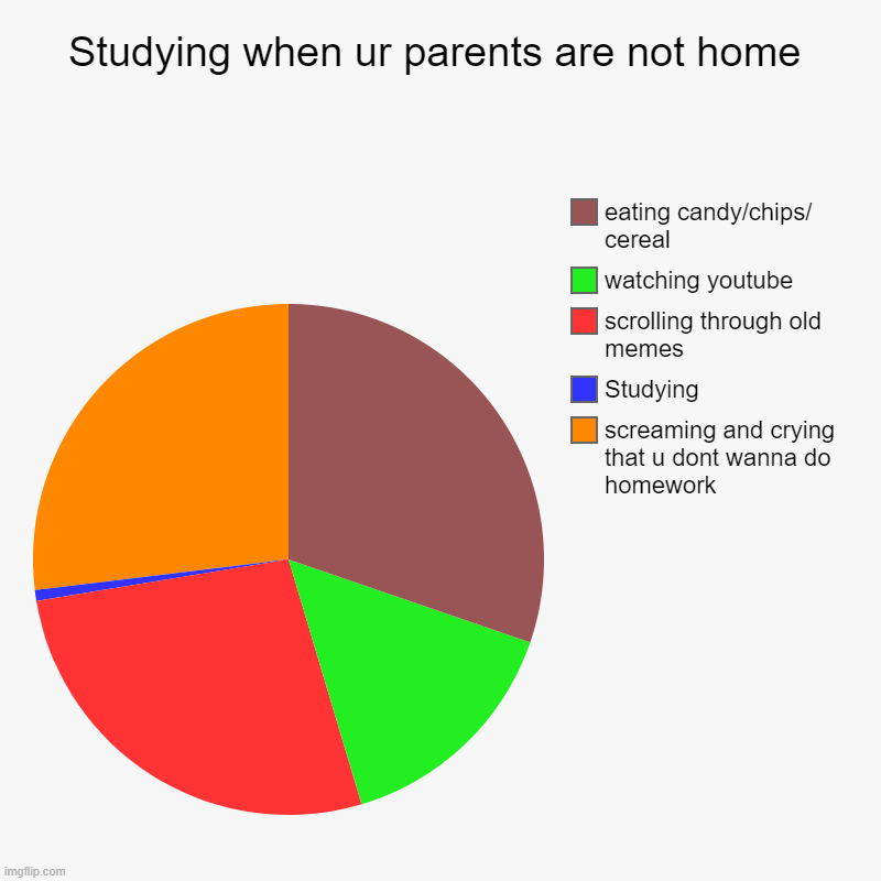 Studying when ur parents are not home | screaming and crying that u dont wanna do homework, Studying, scrolling through old memes, watching  | image tagged in charts,pie charts | made w/ Imgflip chart maker