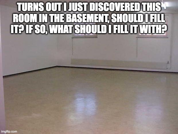 Empty Room | TURNS OUT I JUST DISCOVERED THIS ROOM IN THE BASEMENT, SHOULD I FILL IT? IF SO, WHAT SHOULD I FILL IT WITH? | image tagged in empty room | made w/ Imgflip meme maker