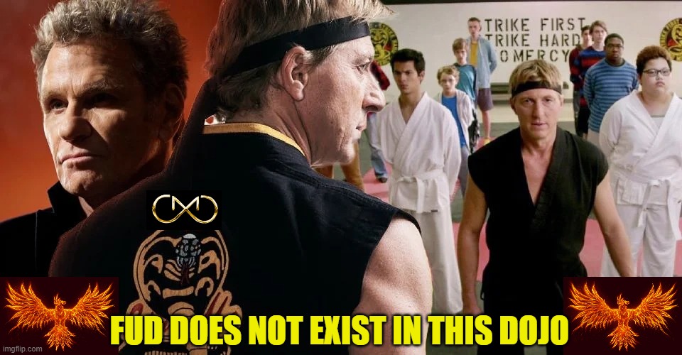 MDB = NO FUD | FUD DOES NOT EXIST IN THIS DOJO | image tagged in crypto | made w/ Imgflip meme maker