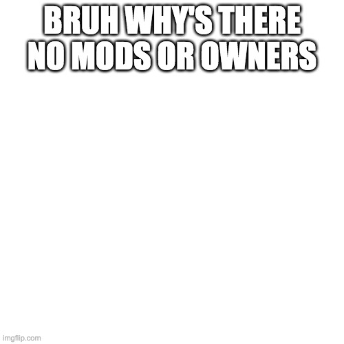 Blank Transparent Square |  BRUH WHY'S THERE NO MODS OR OWNERS | image tagged in memes,blank transparent square | made w/ Imgflip meme maker