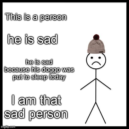 R.I.P Karl- June 19, 2006-April 29, 2022. | This is a person; he is sad; he is sad because his doggo was put to sleep today; I am that sad person | image tagged in don't be like bill | made w/ Imgflip meme maker