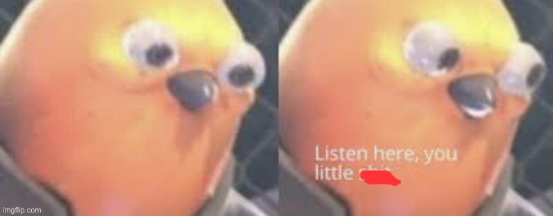 Listen here you little shit bird | image tagged in listen here you little shit bird | made w/ Imgflip meme maker