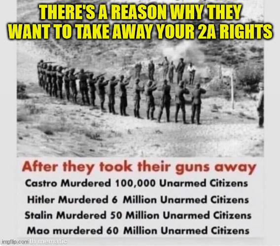 The real reason why they want to take away your 2A rights... | THERE'S A REASON WHY THEY WANT TO TAKE AWAY YOUR 2A RIGHTS | image tagged in protection,second amendment | made w/ Imgflip meme maker