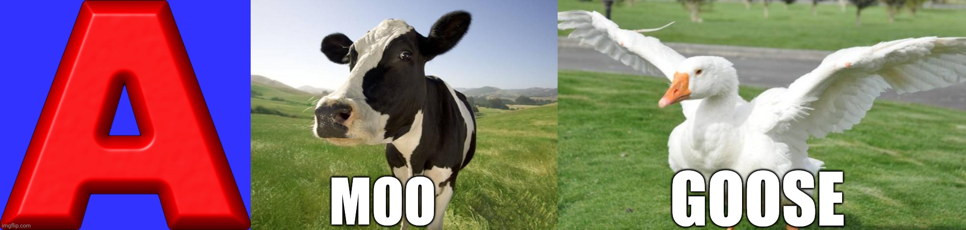 GOOSE; MOO | image tagged in mogus,cow,goose | made w/ Imgflip meme maker