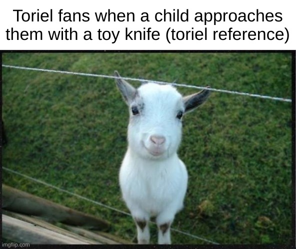 no pies? | Toriel fans when a child approaches them with a toy knife (toriel reference) | image tagged in happy goat | made w/ Imgflip meme maker