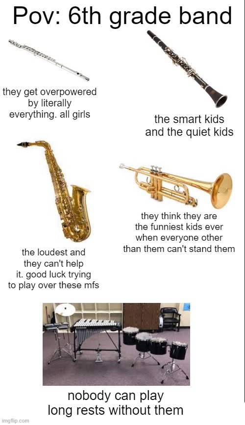 Based off my experience as a saxophone |  Pov: 6th grade band; they get overpowered by literally everything. all girls; the smart kids and the quiet kids; they think they are the funniest kids ever when everyone other than them can't stand them; the loudest and they can't help it. good luck trying to play over these mfs; nobody can play long rests without them | image tagged in medium blank white template | made w/ Imgflip meme maker