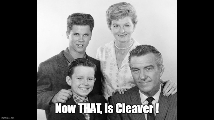 Now THAT, is Cleaver ! | made w/ Imgflip meme maker