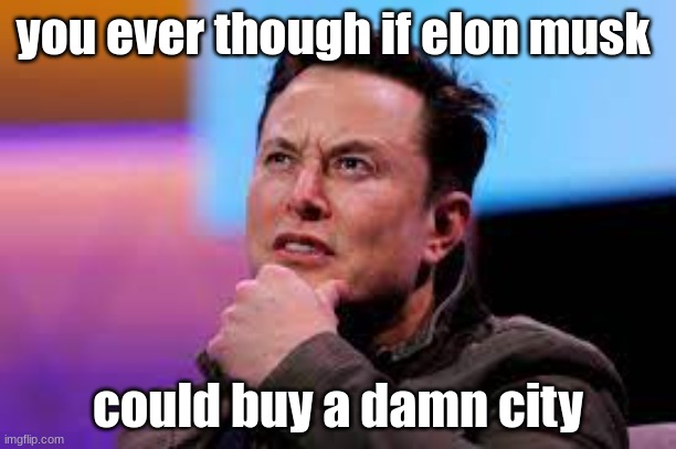 you ever though if elon musk; could buy a damn city | image tagged in what | made w/ Imgflip meme maker