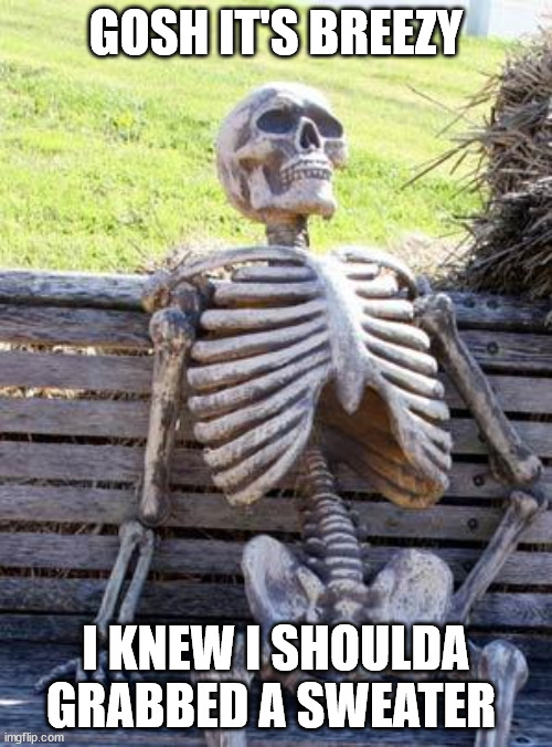 Waiting Skeleton | GOSH IT'S BREEZY; I KNEW I SHOULDA GRABBED A SWEATER | image tagged in memes,waiting skeleton | made w/ Imgflip meme maker