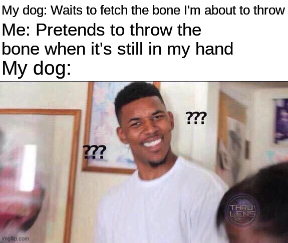 wat | My dog: Waits to fetch the bone I'm about to throw; Me: Pretends to throw the bone when it's still in my hand; My dog: | image tagged in black guy confused,memes,funny,dogs,fetch,illusion 100 | made w/ Imgflip meme maker