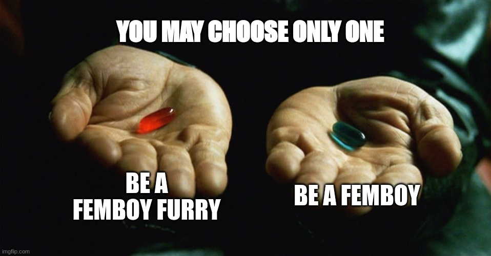 Red pill blue pill | YOU MAY CHOOSE ONLY ONE; BE A FEMBOY FURRY; BE A FEMBOY | image tagged in red pill blue pill | made w/ Imgflip meme maker