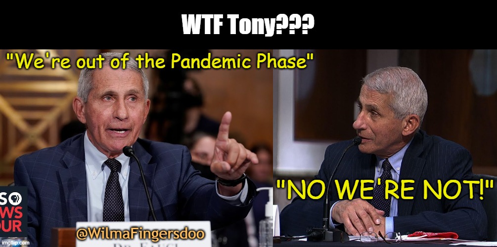 WTF Tony??? "We're out of the Pandemic Phase"; "NO WE'RE NOT!"; @WilmaFingersdoo | image tagged in covid-19 | made w/ Imgflip meme maker