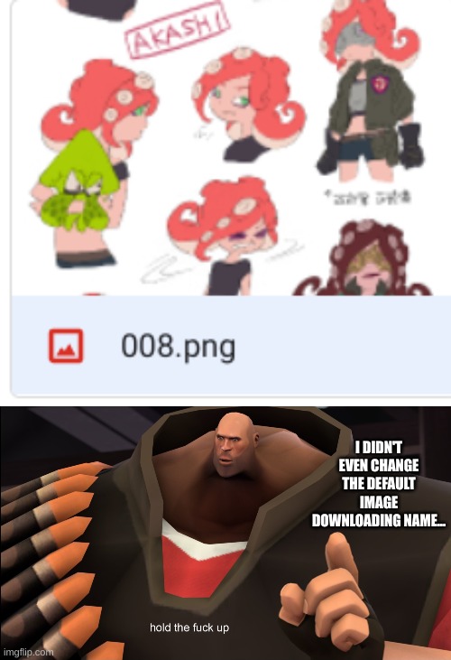 this scared the shit outta me when i realized that the file had been named 008 by the creator | I DIDN'T EVEN CHANGE THE DEFAULT IMAGE DOWNLOADING NAME... | image tagged in hold the fuck up | made w/ Imgflip meme maker