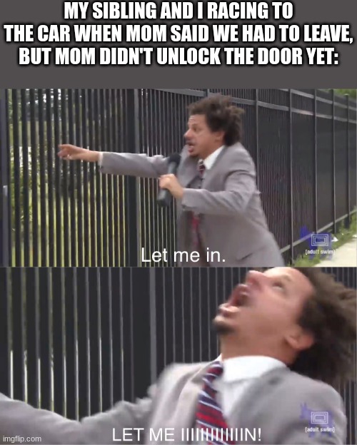 let me in |  MY SIBLING AND I RACING TO THE CAR WHEN MOM SAID WE HAD TO LEAVE, BUT MOM DIDN'T UNLOCK THE DOOR YET: | image tagged in let me in | made w/ Imgflip meme maker