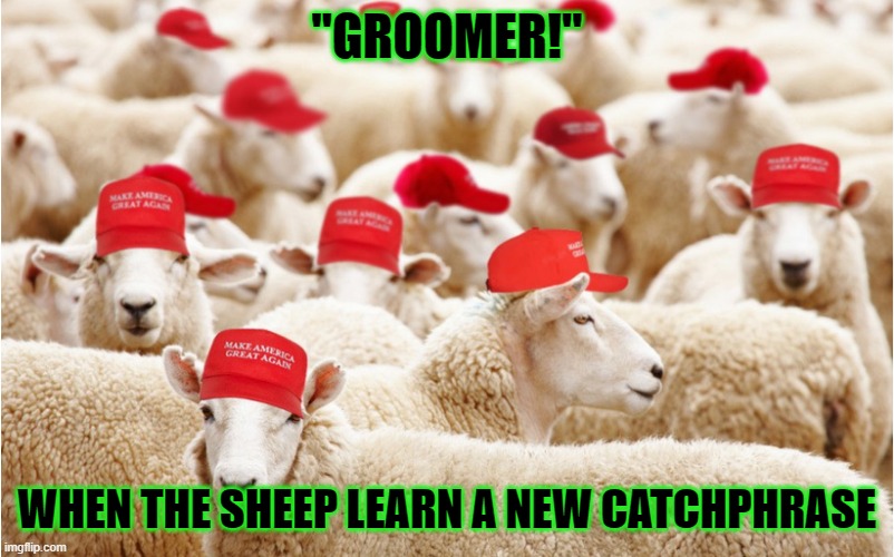 MAGA sheep | "GROOMER!"; WHEN THE SHEEP LEARN A NEW CATCHPHRASE | image tagged in maga sheep,sheep,sheeple,maga,groom | made w/ Imgflip meme maker