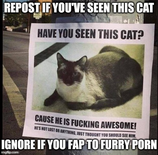 A repost | image tagged in repost | made w/ Imgflip meme maker