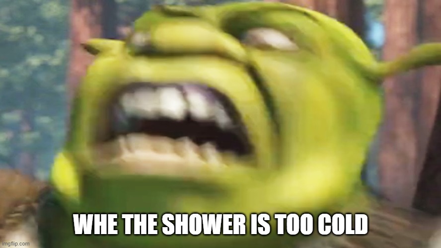 shower problems | WHE THE SHOWER IS TOO COLD | image tagged in shrek | made w/ Imgflip meme maker