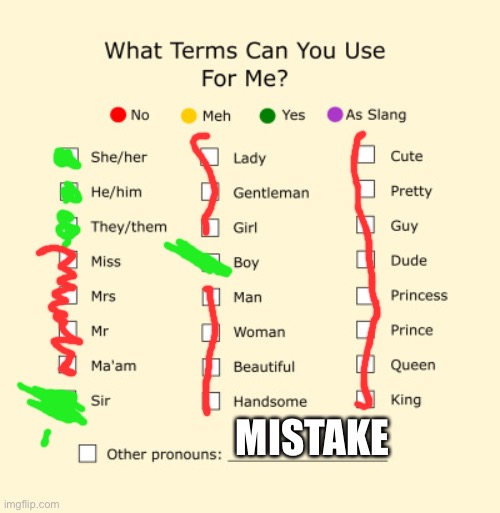 as other people call it i would be considered fatherless | MISTAKE | image tagged in pronouns sheet | made w/ Imgflip meme maker