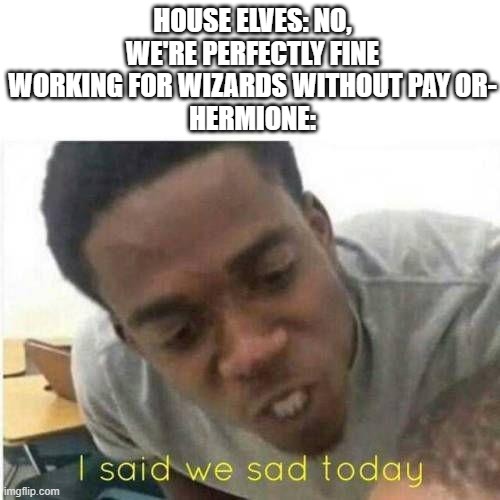 I said we | HOUSE ELVES: NO, WE'RE PERFECTLY FINE WORKING FOR WIZARDS WITHOUT PAY OR-
HERMIONE: | image tagged in i said we | made w/ Imgflip meme maker