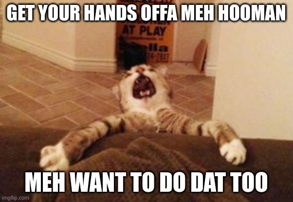 Cat Falling | GET YOUR HANDS OFFA MEH HOOMAN MEH WANT TO DO DAT TOO | image tagged in cat falling | made w/ Imgflip meme maker
