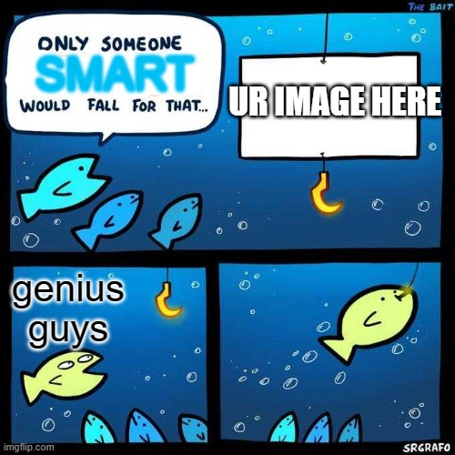 Only someone stupid would fall for that | SMART genius guys UR IMAGE HERE | image tagged in only someone stupid would fall for that | made w/ Imgflip meme maker