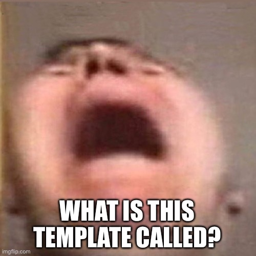 WHAT IS THIS TEMPLATE CALLED? | made w/ Imgflip meme maker