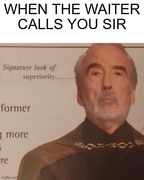 Signature Look of superiority | WHEN THE WAITER CALLS YOU SIR | image tagged in signature look of superiority | made w/ Imgflip meme maker