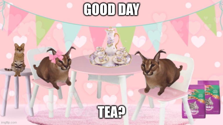 Floppa tea | GOOD DAY; TEA? | image tagged in floppa,friday | made w/ Imgflip meme maker