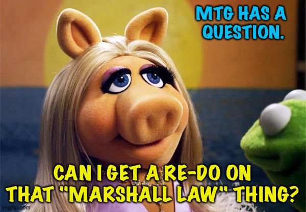 MTG wants another chance | MTG HAS A 
QUESTION. CAN I GET A RE-DO ON THAT "MARSHALL LAW" THING? | image tagged in mtg piggy | made w/ Imgflip meme maker