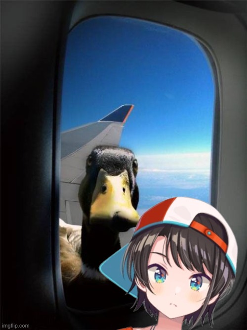 Duck and Subaru | image tagged in hololive | made w/ Imgflip meme maker