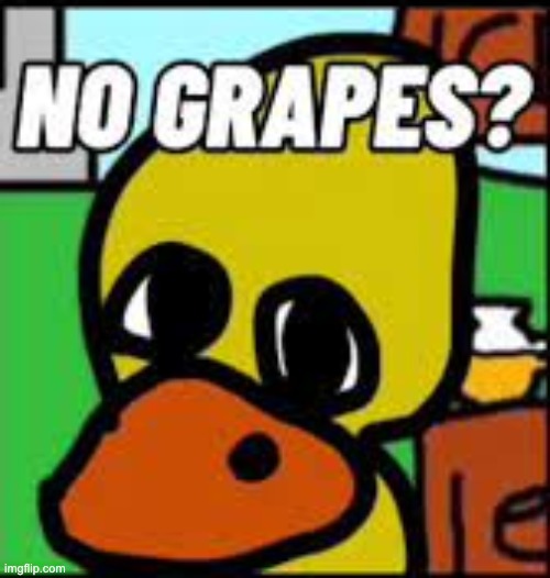 Grapes? | image tagged in no bitches | made w/ Imgflip meme maker