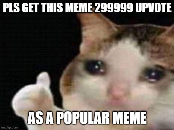 PLS GET THIS MEME 299999 UPVOTE; AS A POPULAR MEME | made w/ Imgflip meme maker