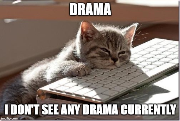 Bored Keyboard Cat | DRAMA I DON'T SEE ANY DRAMA CURRENTLY | image tagged in bored keyboard cat | made w/ Imgflip meme maker